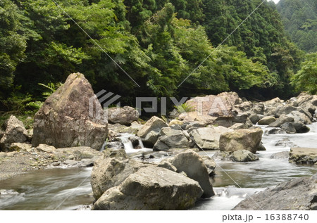 渓流 渓流 16388740