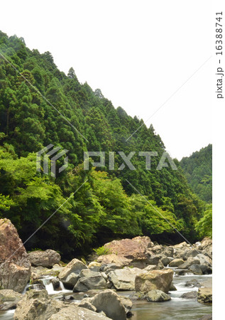渓流 渓流 16388741