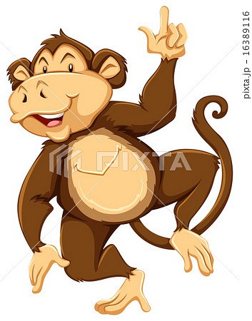 Monkey 16389116