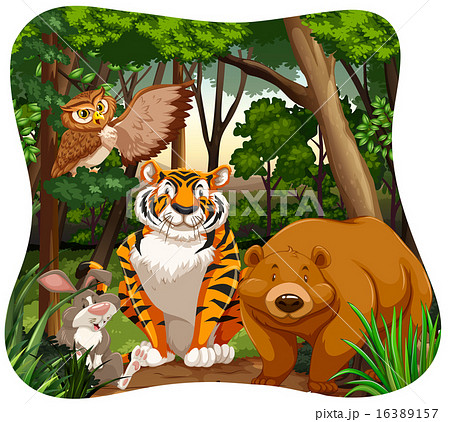 Animals Animals 16389157