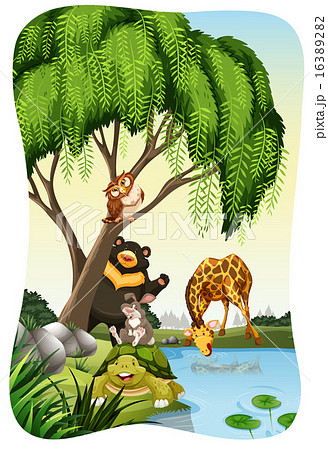 Nature Nature 16389282