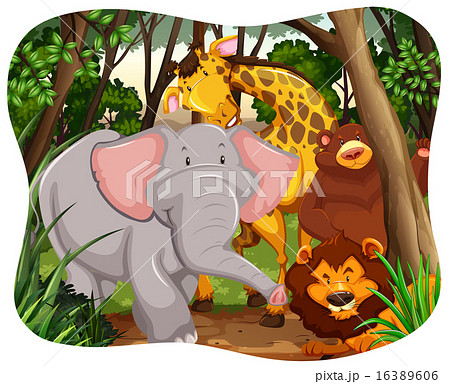 Wildlife Wildlife 16389606
