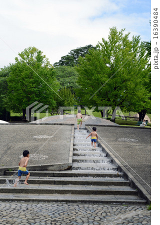 水遊び 水遊び 16390484