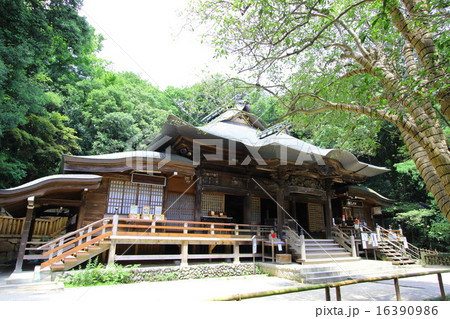 深大寺 元三大師堂 深大寺 元三大師堂 16390986