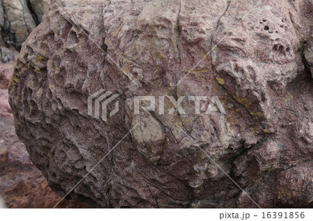 能登半島の岩場 能登半島の岩場 16391856