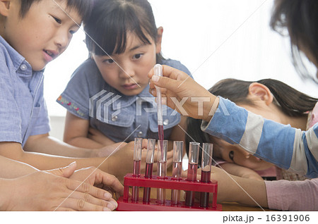 理科の実験をする小学生 理科の実験をする小学生 16391906