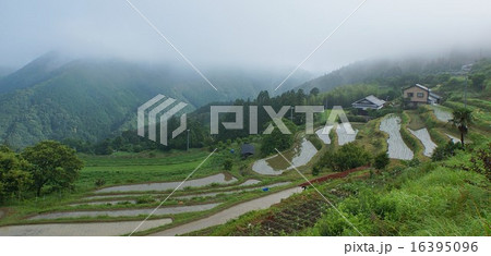 和歌山県田辺市中辺路町 霧の郷 たかはら 和歌山県田辺市中辺路町 霧の郷 たかはら 16395096