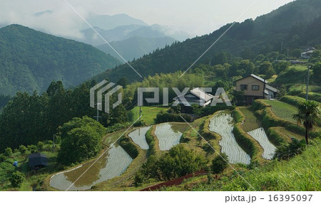 和歌山県田辺市中辺路町 霧の郷 たかはら 和歌山県田辺市中辺路町 霧の郷 たかはら 16395097
