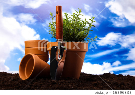 Set of garden tools, vivid bright springtime  16396333