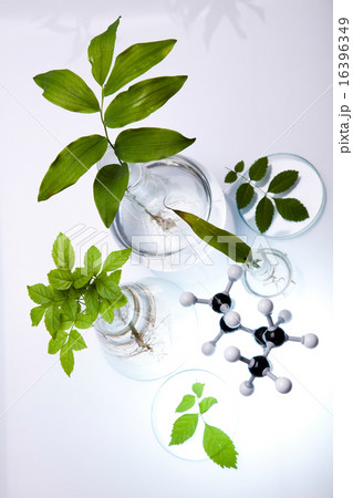 Chemical laboratory glassware, bio organic Chemical laboratory glassware, bio organic 16396349