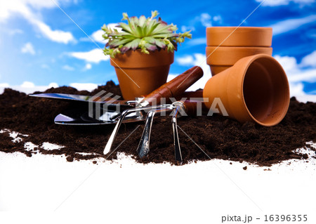 Set of garden tools, vivid bright springtime  16396355