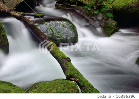 渓流 渓流 16396396