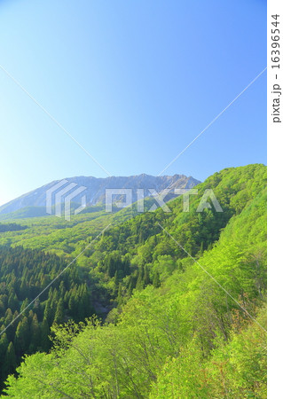 鳥取県 夏の大山 鳥取県 夏の大山 16396544