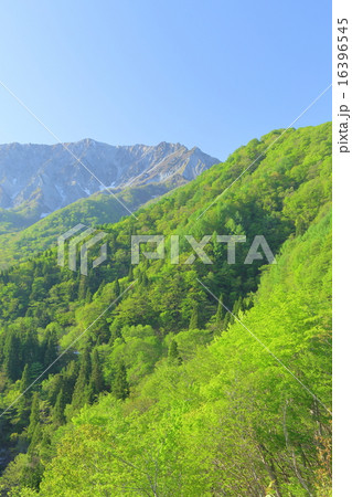 鳥取県 夏の大山 鳥取県 夏の大山 16396545