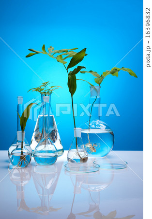 Chemical laboratory glassware, bio organic modern Chemical laboratory glassware, bio organic modern 16396832