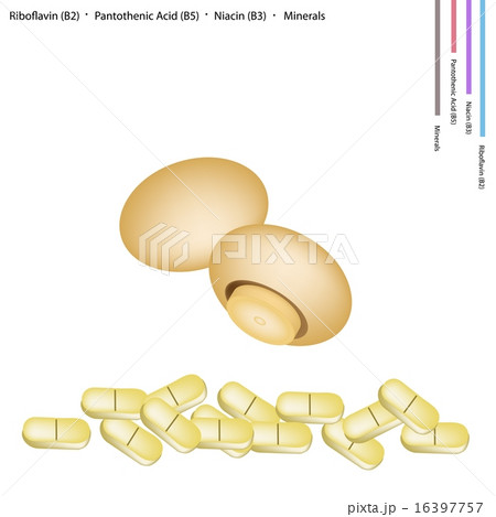 Chestnut Mushrooms with Vitamin B2, B5 and B3 16397757