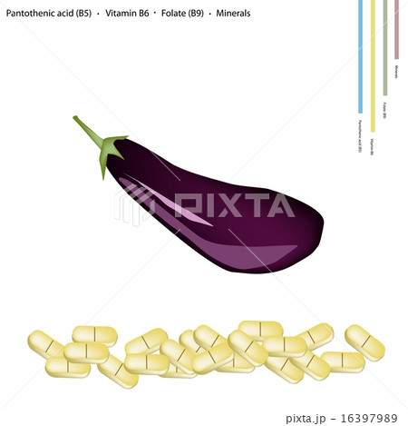 Ripe Eggplant with Vitamin B5, B6 and B9 16397989