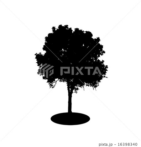 Tree Silhouette Isolated on White Backgorund. Vector Illustration 16398340