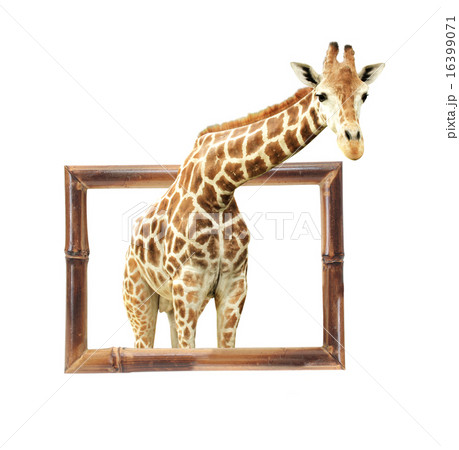 Giraffe in bamboo frame with 3d effect 16399071