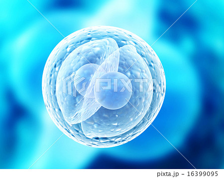 Division of cell Division of cell 16399095