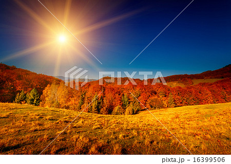 Colorful autumn landscape Colorful autumn landscape 16399506
