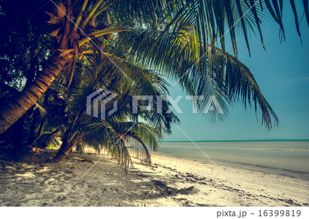 Beautiful summer landscape 16399819