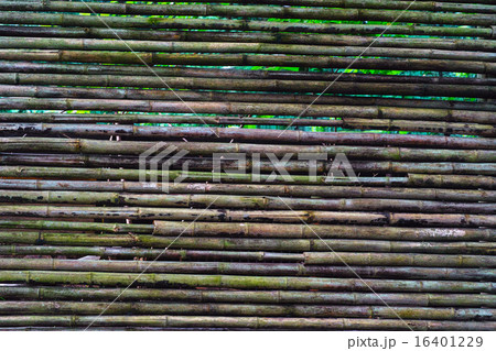 汚れた竹のフェンス 16401229