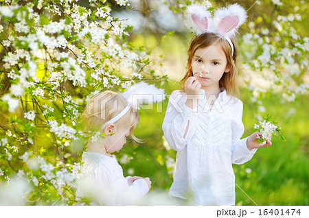 Two little sisters wearing bunny ears on Easter 16401474