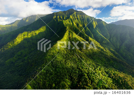 Stunning aerial view of spectacular jungles, Kauai Stunning aerial view of spectacular jungles, Kauai 16401636