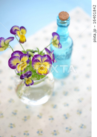 パンジーの花あしらいとコルク瓶 16401842