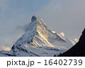 夕日に照らされるマッターホルン 16402739