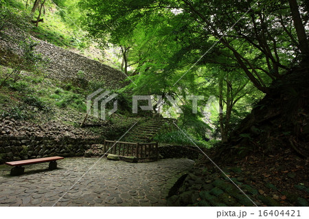 玄武洞公園より 16404421