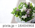 ハーブと花 16404968
