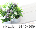 ハーブと花 16404969