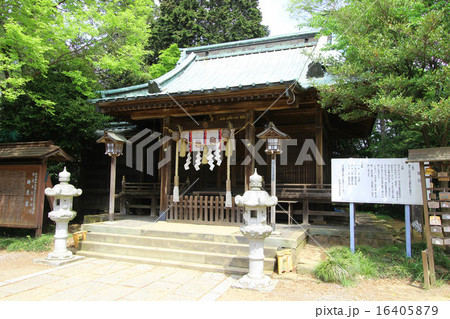 新田神社 16405879