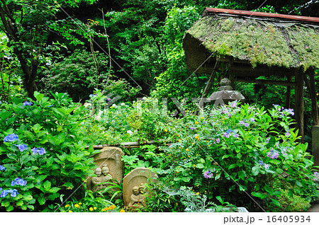 紫陽花寺の道祖神(箱根) 紫陽花寺の道祖神(箱根) 16405934