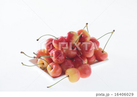 さくらんぼ,チェリー さくらんぼ,チェリー 16406029