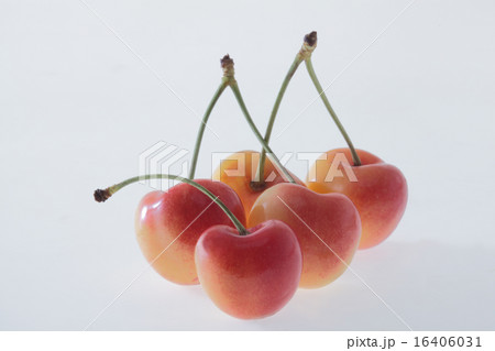 さくらんぼ,チェリー 16406031