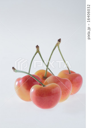 さくらんぼ,チェリー さくらんぼ,チェリー 16406032