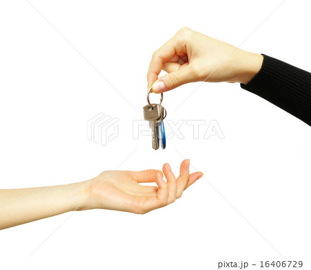 key key 16406729