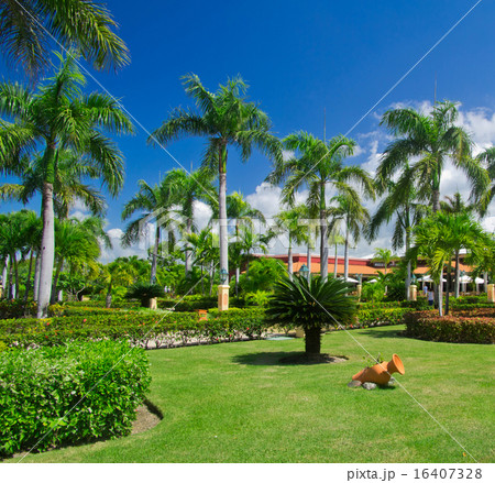 Garden 16407328