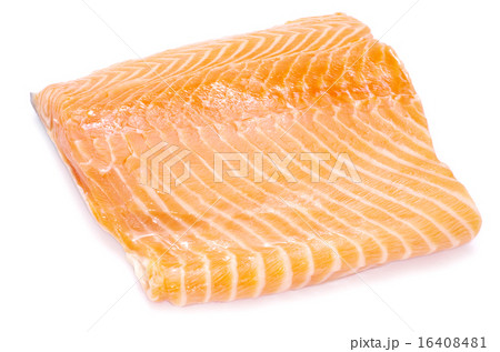 salmon salmon 16408481
