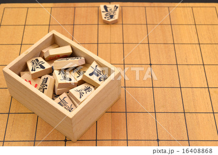 将棋の駒 16408868
