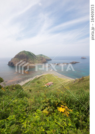 佐渡島の二ツ亀 16409353