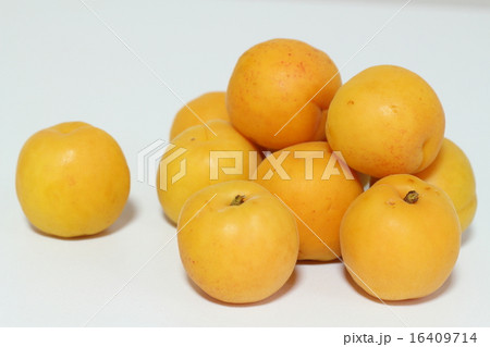 あんず あんず 16409714