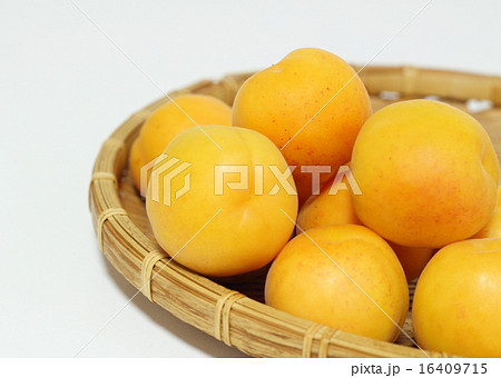 あんず あんず 16409715