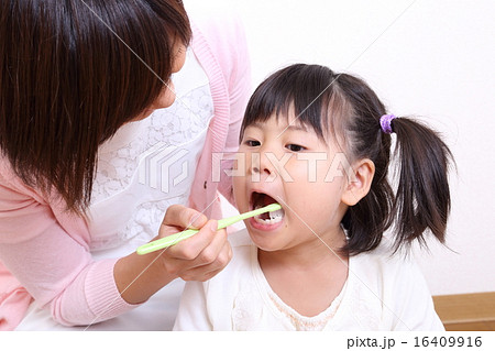 歯磨き　親子 16409916