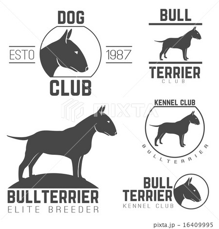 design logotypes, labels set of bill terrier god breed for kennels, breeders, clubs isolated black 16409995