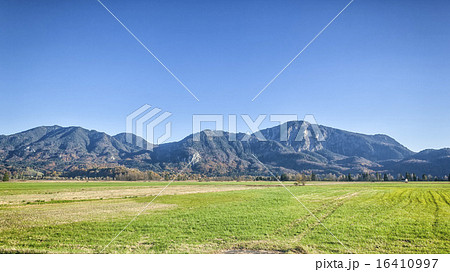 autumn scenery 16410997