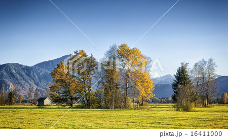 autumn scenery autumn scenery 16411000